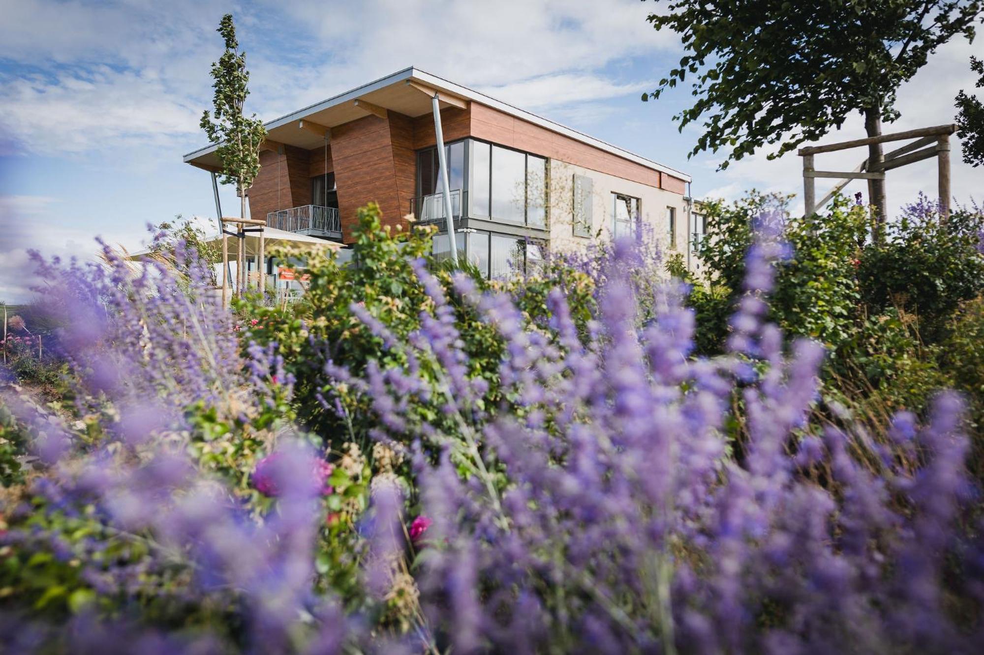 Weinzuhause Hotel-Restaurant-Vinothek Mommenheim Eksteriør bilde