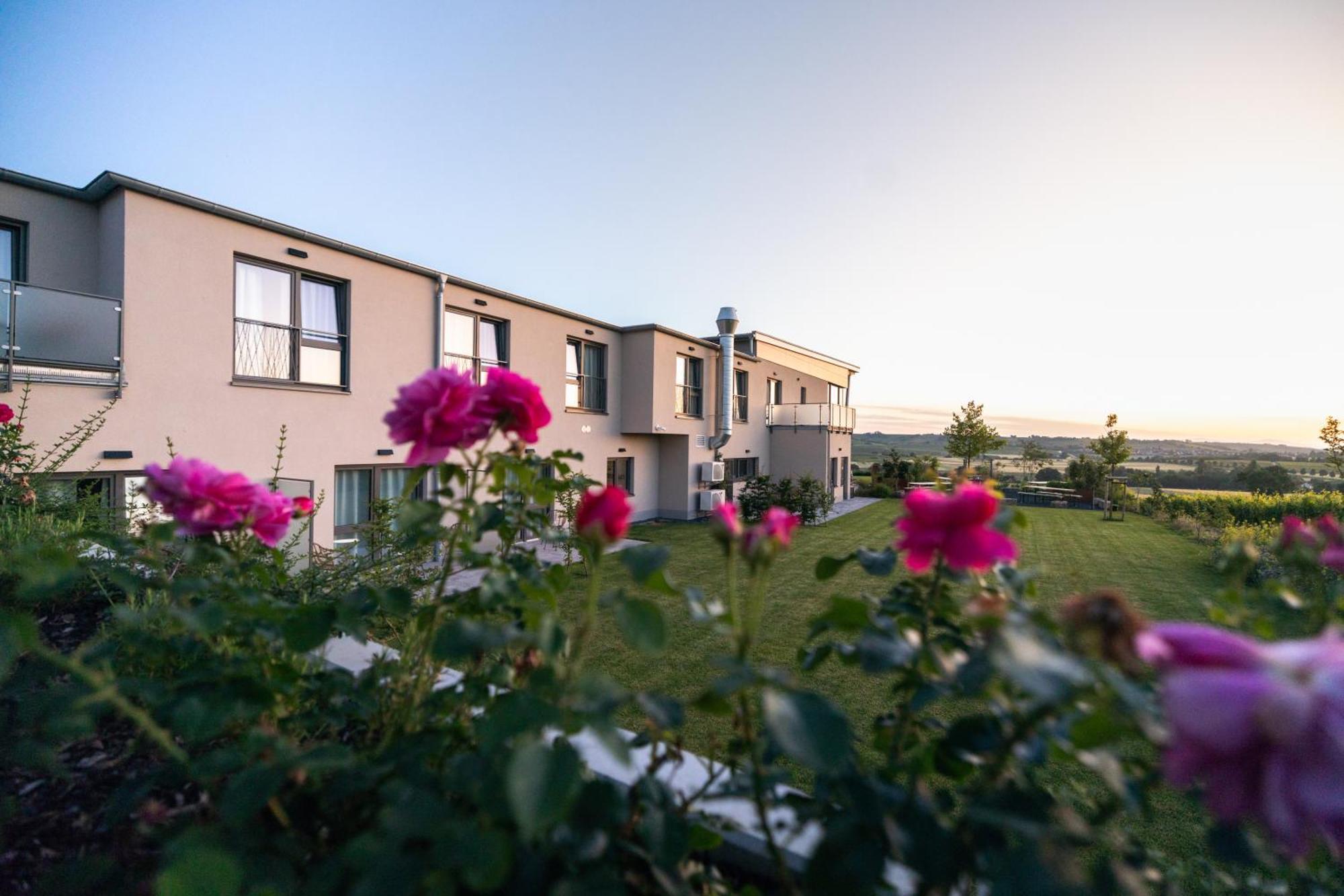 Weinzuhause Hotel-Restaurant-Vinothek Mommenheim Eksteriør bilde